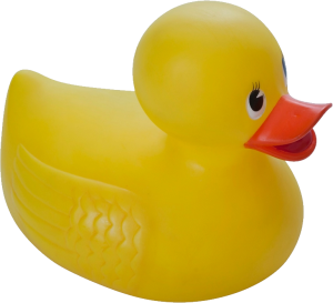 Rubber duck PNG-45699